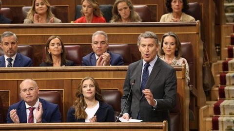 El presidente del PP, Alberto Nez Feijoo, durante la sesin de control al Gobierno.