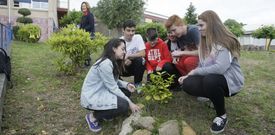 El IES Monte Castelo participar� en la pr�xima edici�n de Voz Natura, del curso 2015-2016. 