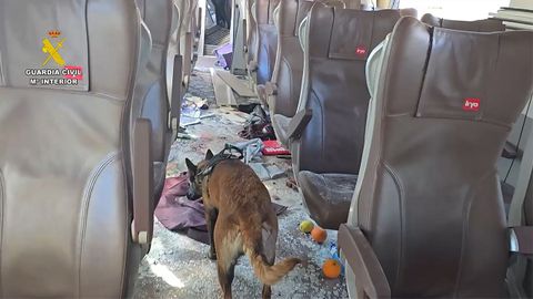 Un perro de la Guardia Civil en el interior de uno de los vagones siniestrados
