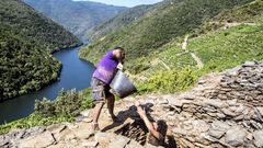 Un aspecto de las excavaciones arqueol�gicas realizadas el pasado agosto en el lugar de Os Conventos