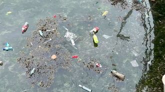 Mar de F�bula lucha contra la basura marina.