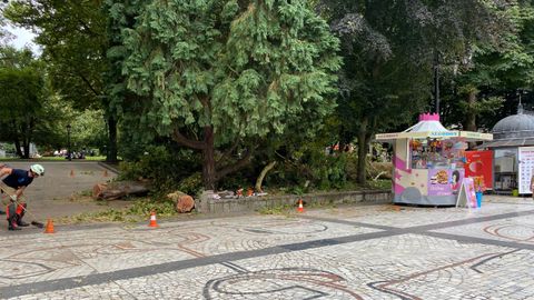 Campo de San Francisco