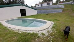 Centro canino Gaia