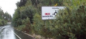 La maleza supera los arcenes y tapa las se�ales en la N-505.