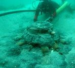 Trabajo arqueol�gico y hallazgos en los pecios de la flota de Padilla y el �Great Liverpool�. 