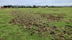 Da�os en el campo de f�tbol de A Imende (Noicela, Carballo) 