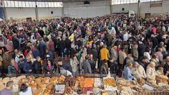 Las ferias de Santos de Monterroso y de Gontn en imgenes