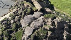 Tareas de mantenimiento en el c�sped del campo de A Malata