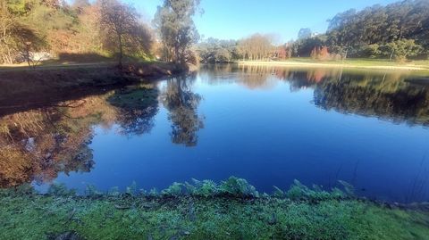 El escenario, en las cercanas de Pontevedra, es idlico. 