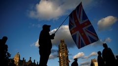 Un manifestante a favor de la permanencia, ante el Parlamento brit�nico