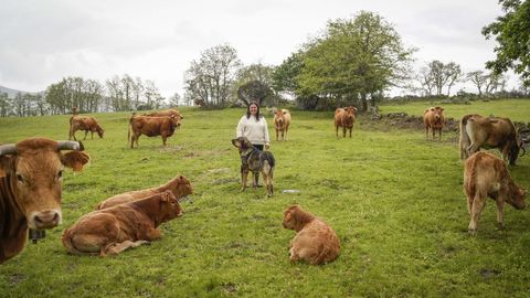 Luc�a Mart�nez, junto a su perro, en medio de las vacas de su explotaci�n en Chandrexa de Queixa.