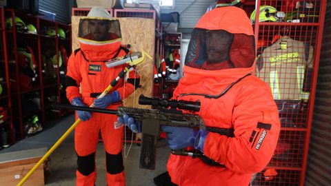 Equipos de los bomberos de Nar�n contra las velutinas. 