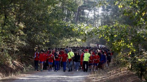 La caminata empez en Cereixa (A Pobra do Brolln ) y acab en el Parque dos Condes de Monforte