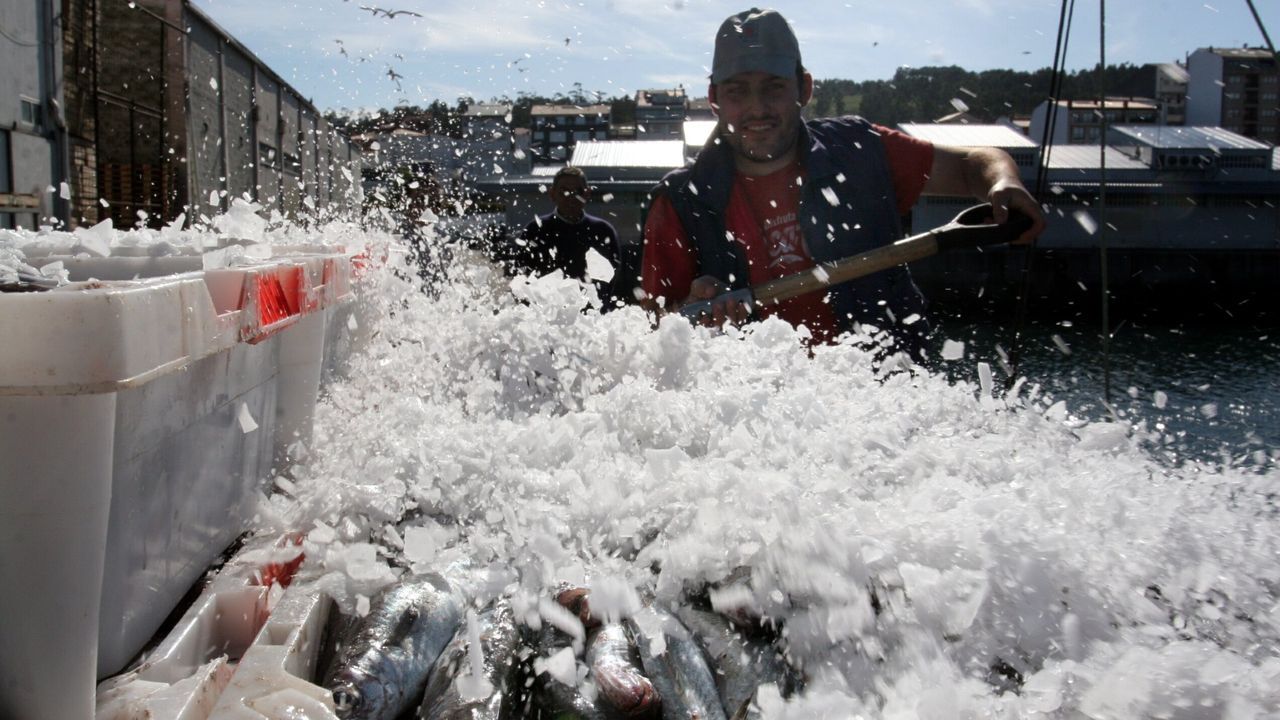 Arrastreros de A Coruña exigen que se traspase cuota de lirio de Gran Sol al Cantábrico