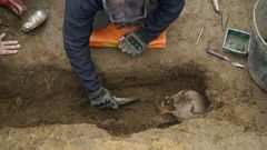 Trabajos de exhumacin de los restos seos en la fosa comn del cementerio de Celanova, realizados en diciembre del 2022