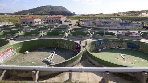Las piscinas y el resto de instalaciones de la planta acu�cola, desvalijada y en estado ruinoso