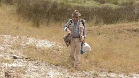 Francisco Javier Silva-Pando, jefe del departamento de Ecosistemas Forestales y conservador del herbario LOU del Centro de Investigaci�n Forestal de Louriz�n (hasta su jubilaci�n, este a�o), es autor de m�s de un centenar de publicaciones sobre flora de Galicia y ha descrito tres nuevas especies, entre ellas, la end�mica �Centaurea ultreiae�, descubierta en un camino de Santa Comba.