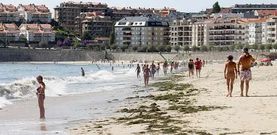 Las algas son visibles en la l�nea de marea de la playa de Silgar, pese a los esfuerzos del Concello de retirarlas de todos los arenales. 