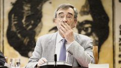 Manuel Cruz, durante la constituci�n de una de las comisiones del Senado