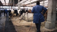 En los a�os 70, el mercado de ganado estaba en Salgueiri�os. Los mi�rcoles, mercado, y los jueves, a comer los callos