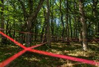 Una de las fotograf�as que integran el v�deo SOS, tomada en la fraga de Casas Vellas. 