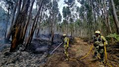 Brigadistas, en una de las zonas arrasadas por el incendio de Crecente.