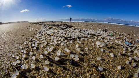 Una marea de los 26.000 kilos de pélets de plástico que perdió el mercante Toconao salpicó a finales del 2023 y principios del 2024 playas gallegas, como esta de Fisterra, y de Asturias, Cantabria y País Vasco 