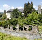 Aqu� se construir� el Museo del Agua dentro del proyecto previsto. 