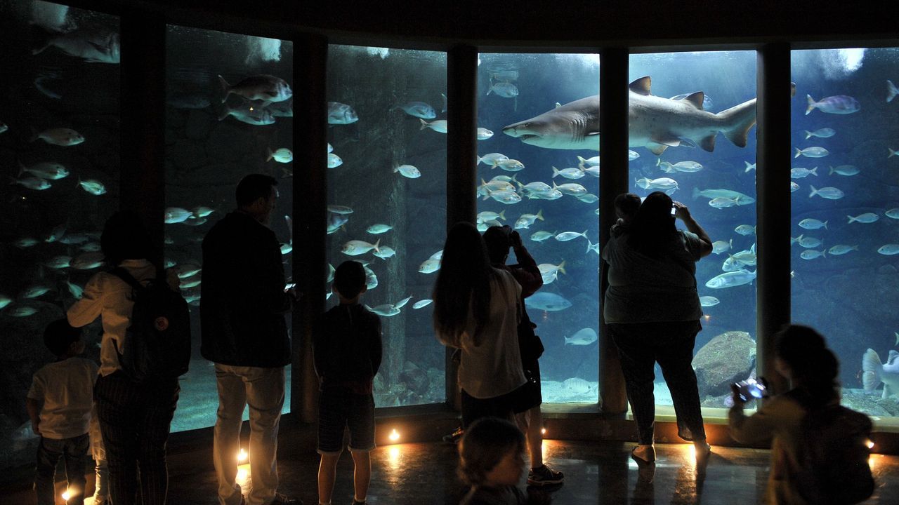 as-ser-la-programaci-n-gratuita-del-d-a-internacional-de-los-museos