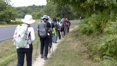 Grupo de peregrinos por el Camino Primitivo, en el municipio de Lugo. 