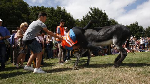 Hubo muchas caídas, pero ningún herido