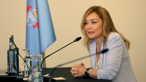 Mari�n Mouri�o, presidente del Celta, en una imagen de archivo