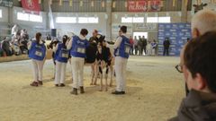 Muimenta despide una edici�n de r�cord