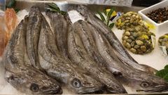 Merluzas frescas como las que se venden en las lonjas de Burela y Celeiro, puertos referentes de este pescado blanco en Espa�a y Europa.