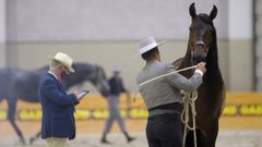 Equigal se est celebrando en el Pazo de Feiras e Congresos de Lugo