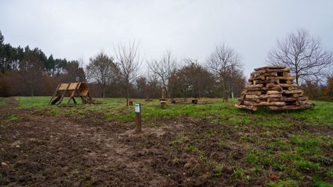 Bosque Atl�ntico de Cerveiros, en Bergondo