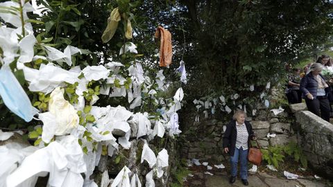 Romeria de San Campio 2022