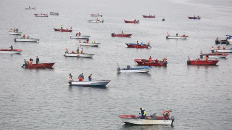 Libre marisqueo en O Boh�do