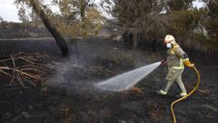 El incendio de Cerdedo-Cotobade afect� a unas 50 hect�reas de monte y se aproxim� a las casas en Cuspedri�os