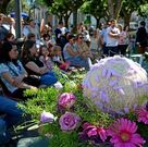 Flores, gastronom�a y poes�a centraron los actos.