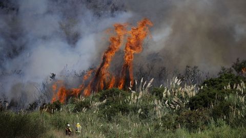 Incendio forestal en Culleredo. 