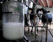 Espa�a mand� el a�o pasado a Rusia leche por valor de 3,8 millones de euros. 
