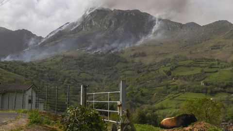 Varias columnas de humo emergen este martes e los montes del concejo de Morc�n