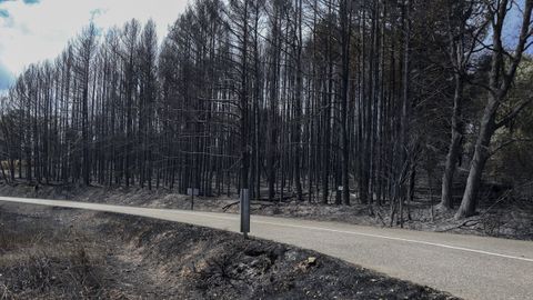 Vista general de los da�os producidos por el fuego en Villardeciervos, en Zamora