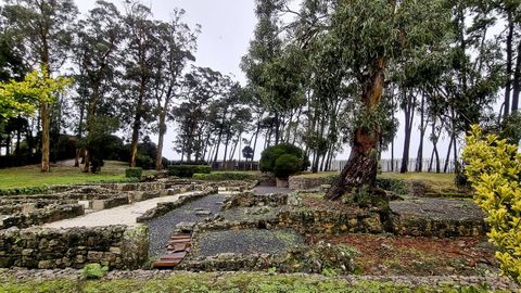 Vista parcial de la villa romana de Toralla