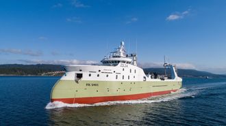 El buque Prion, construido en Nodosa, es uno de los congeladores m�s modernos construidos en Espa�a y pertenece a�una sociedad participada por el grupo vigu�s Pescapuerta.