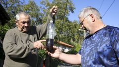 Los vecinos de A Cabana han colgado botellas con un brebaje a base de sidra para atraer a las avispas de tres nidos localizados en la carretera de San Antonio