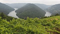 Meandro de Cabo do Mundo, del que ofrece im�genes desde ayer la web de MeteoGalicia