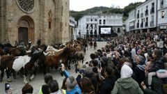 Descenso del ganado en la As San Lucas de Mondo�edo en la edici�n de 2026