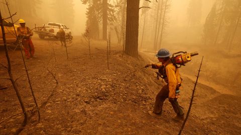 Incendio forestal cerca de la ciudad de Greenville, en California